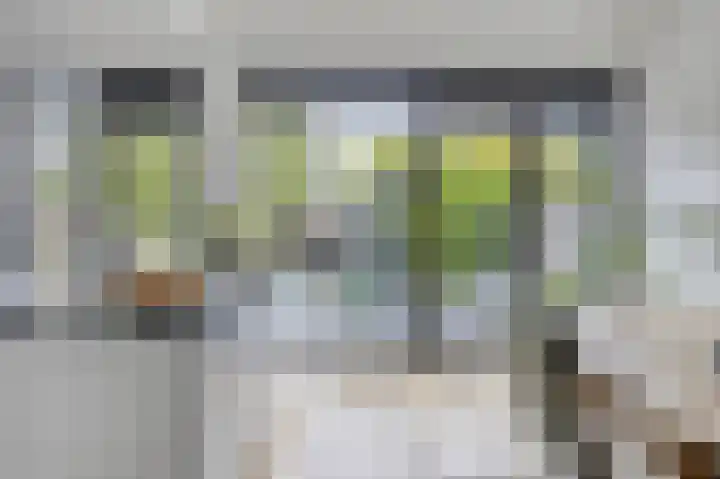 Laan van Eik en Duinen 202 Den Haag thumbnail 10