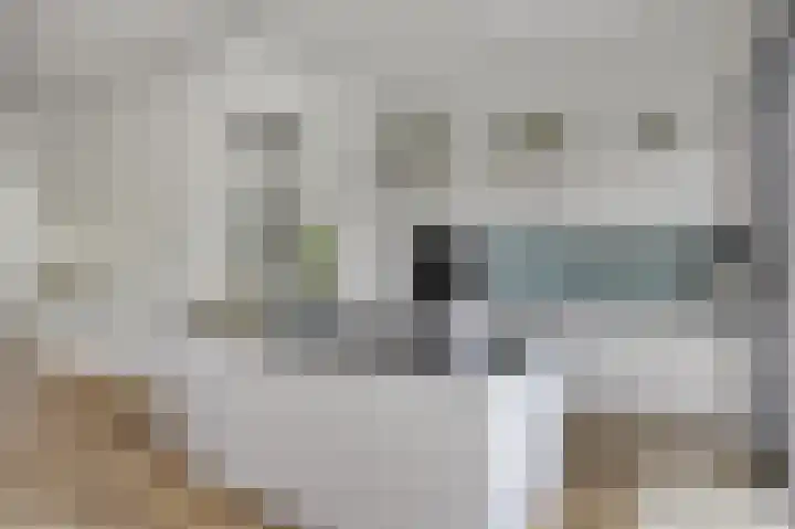 Laan van Eik en Duinen 202 Den Haag thumbnail 11