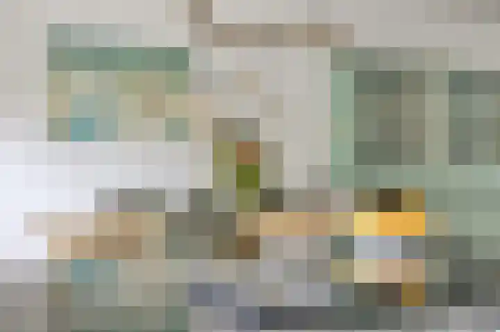 Laan van Eik en Duinen 202 Den Haag thumbnail 12