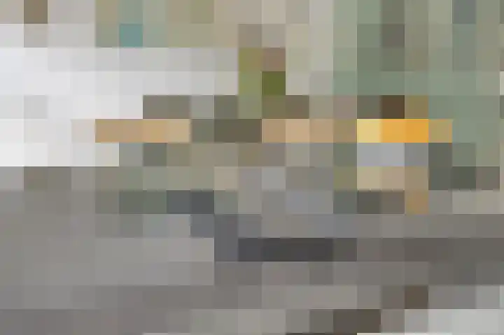 Laan van Eik en Duinen 202 Den Haag thumbnail 13