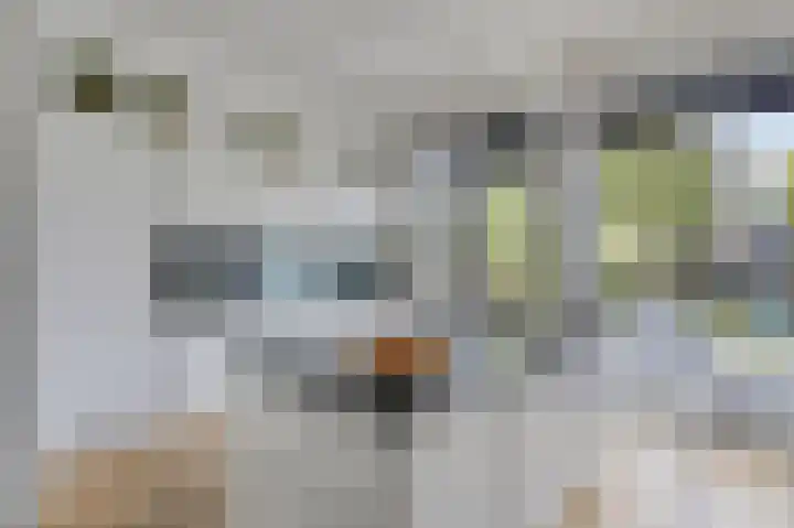 Laan van Eik en Duinen 202 Den Haag thumbnail 14