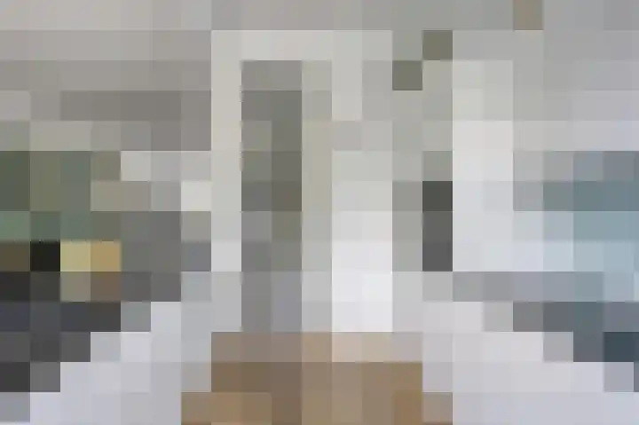 Laan van Eik en Duinen 202 Den Haag thumbnail 17