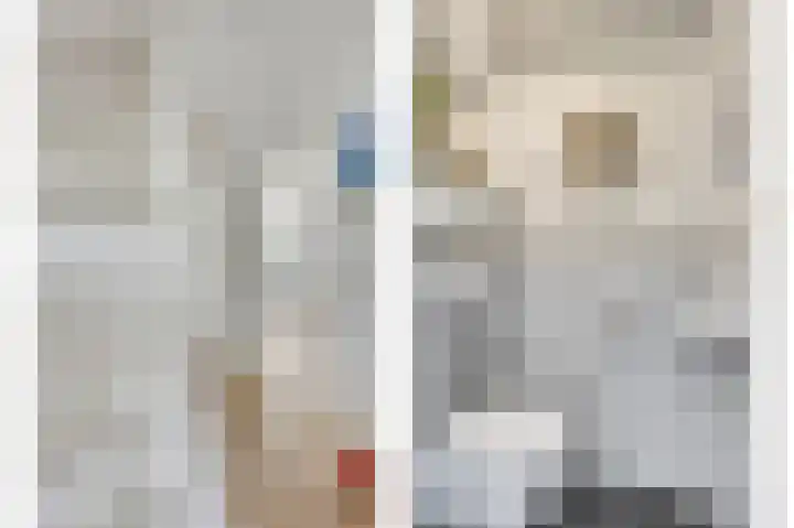 Laan van Eik en Duinen 202 Den Haag thumbnail 19