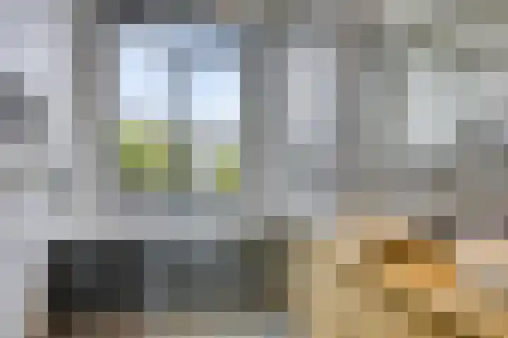 Laan van Eik en Duinen 202 Den Haag thumbnail 26