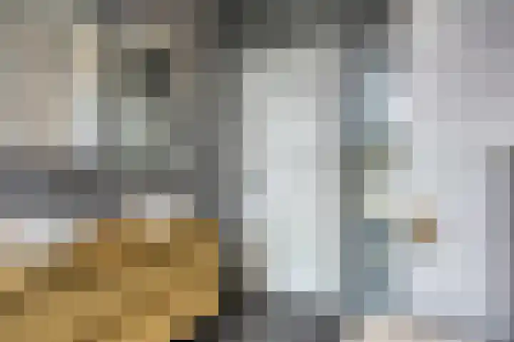 Laan van Eik en Duinen 202 Den Haag thumbnail 27