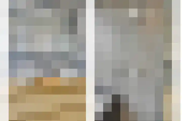 Laan van Eik en Duinen 202 Den Haag thumbnail 28