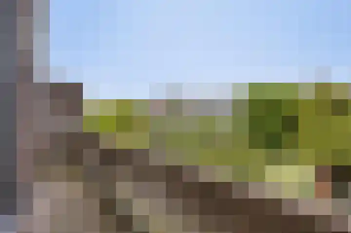 Laan van Eik en Duinen 202 Den Haag thumbnail 30
