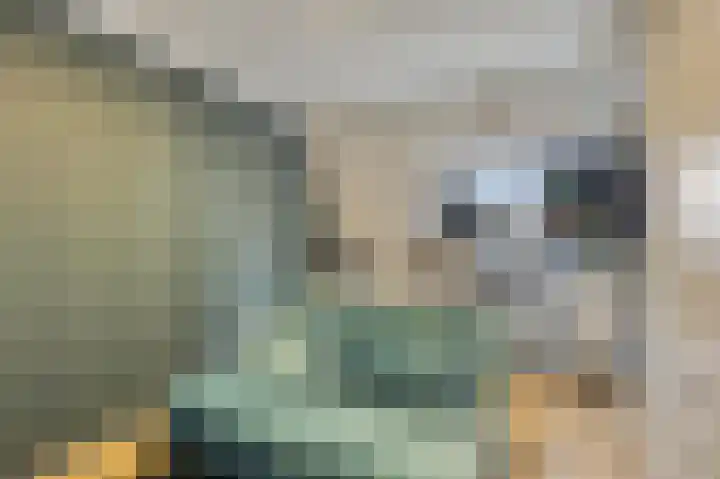 Laan van Eik en Duinen 202 Den Haag thumbnail 33