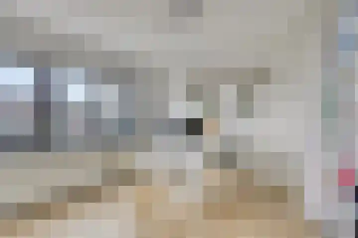 Laan van Eik en Duinen 202 Den Haag thumbnail 34