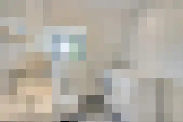 Laan van Eik en Duinen 202 Den Haag thumbnail 37