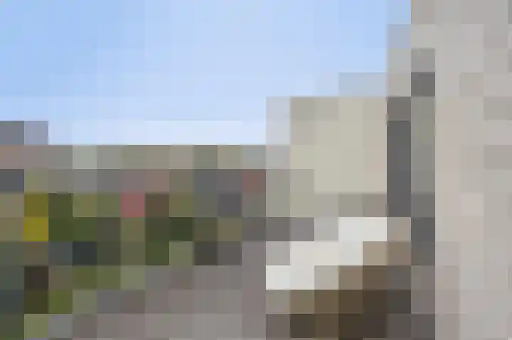 Laan van Eik en Duinen 202 Den Haag thumbnail 38