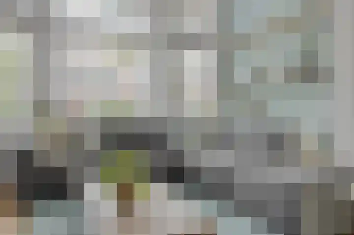 Laan van Eik en Duinen 202 Den Haag thumbnail 4