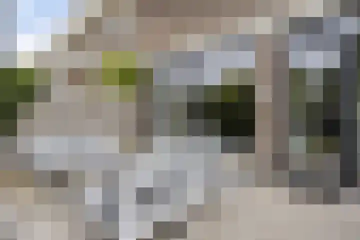 Laan van Eik en Duinen 202 Den Haag thumbnail 40