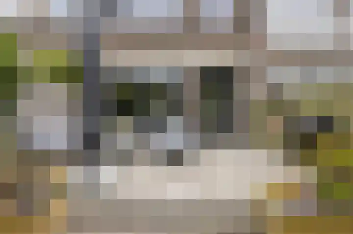 Laan van Eik en Duinen 202 Den Haag thumbnail 41