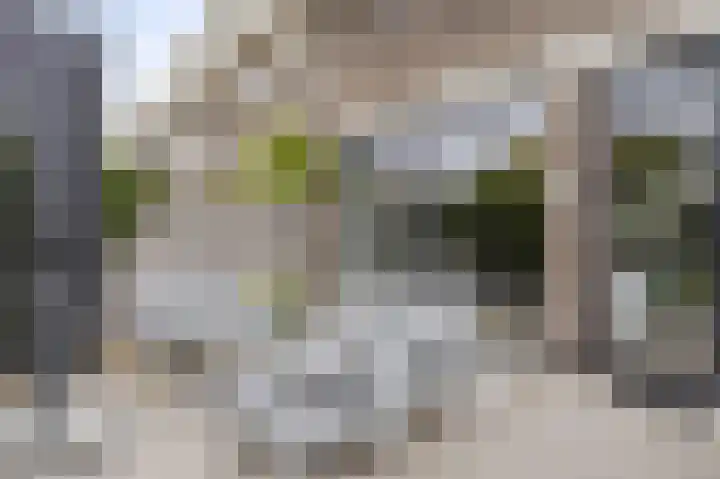 Laan van Eik en Duinen 202 Den Haag thumbnail 42