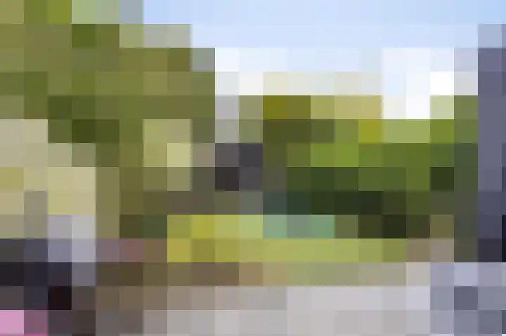 Laan van Eik en Duinen 202 Den Haag thumbnail 43