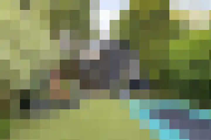 Laan van Eik en Duinen 202 Den Haag thumbnail 44