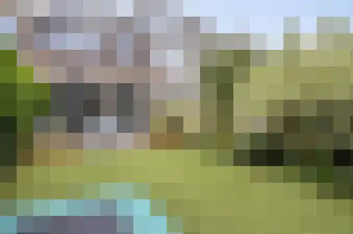 Laan van Eik en Duinen 202 Den Haag thumbnail 45