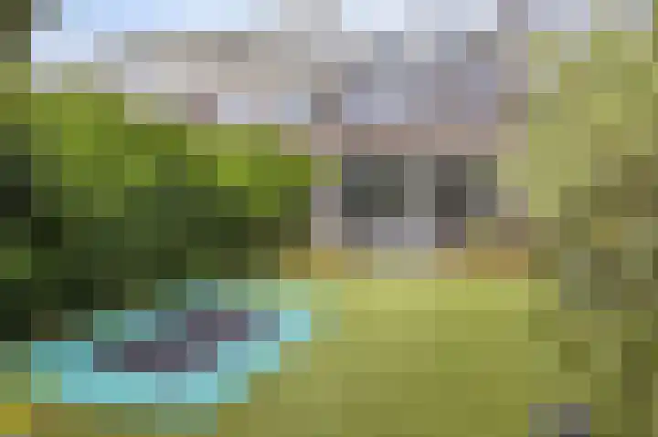 Laan van Eik en Duinen 202 Den Haag thumbnail 46