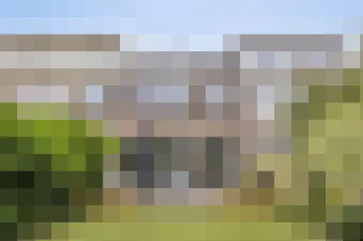 Laan van Eik en Duinen 202 Den Haag thumbnail 47
