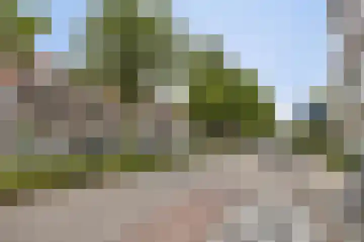 Laan van Eik en Duinen 202 Den Haag thumbnail 48