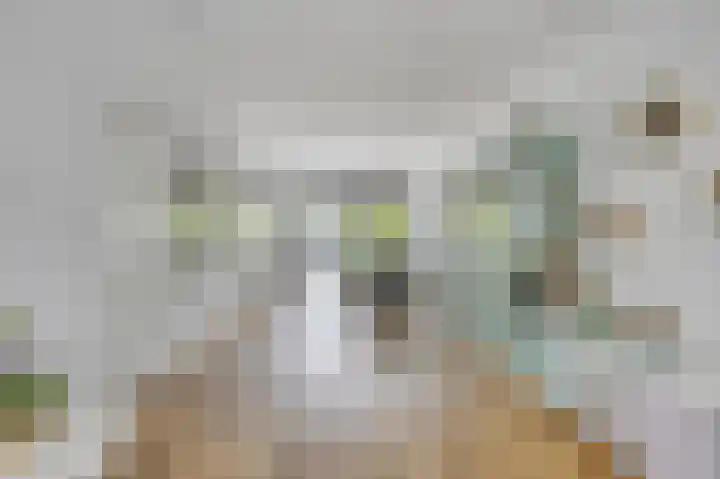 Laan van Eik en Duinen 202 Den Haag thumbnail 5