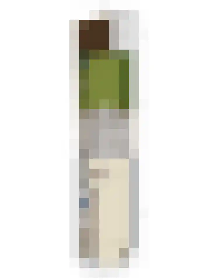 Laan van Eik en Duinen 202 Den Haag thumbnail 51