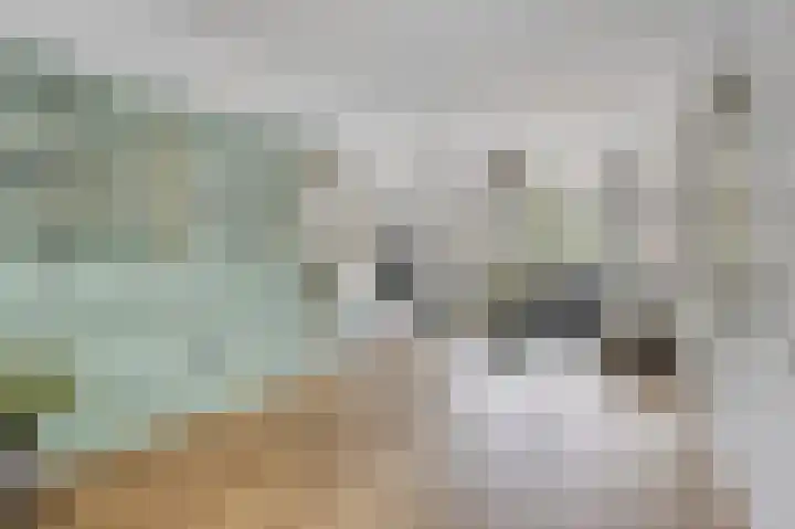 Laan van Eik en Duinen 202 Den Haag thumbnail 6