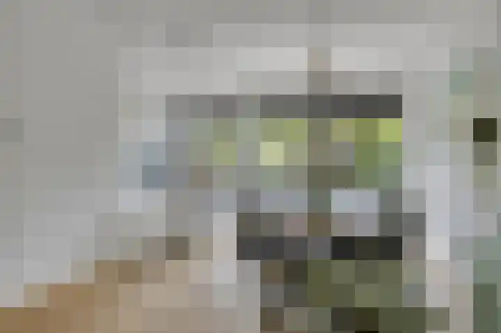 Laan van Eik en Duinen 202 Den Haag thumbnail 7