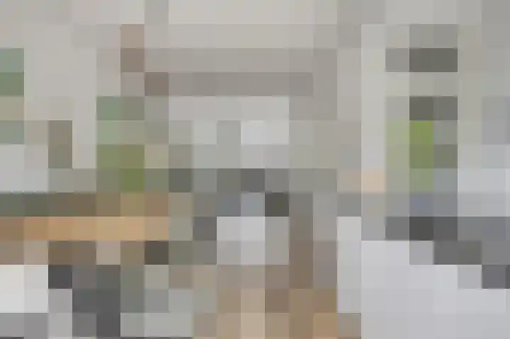 Laan van Eik en Duinen 202 Den Haag thumbnail 8