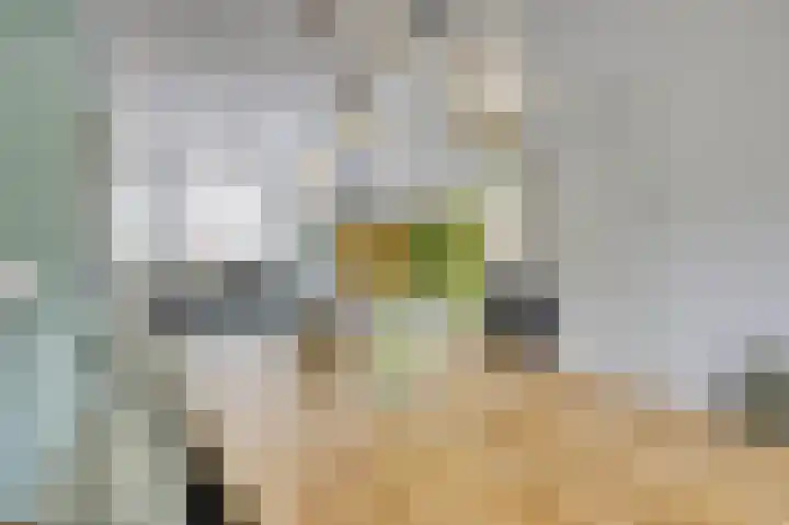 Laan van Eik en Duinen 202 Den Haag thumbnail 9