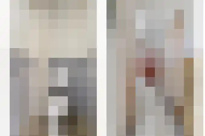 Laan van Eik en Duinen 211 Den Haag thumbnail 10
