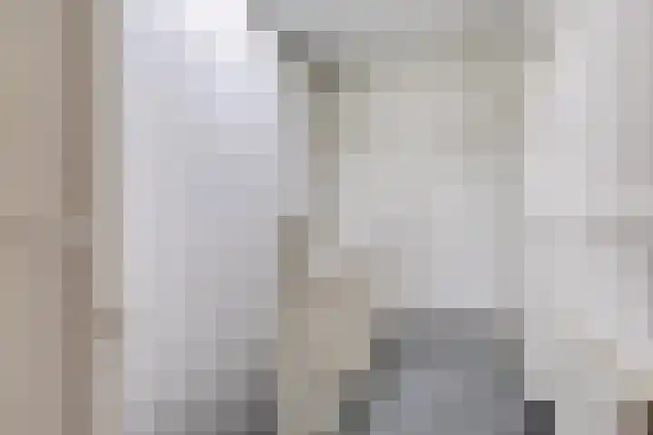 Laan van Eik en Duinen 211 Den Haag thumbnail 11