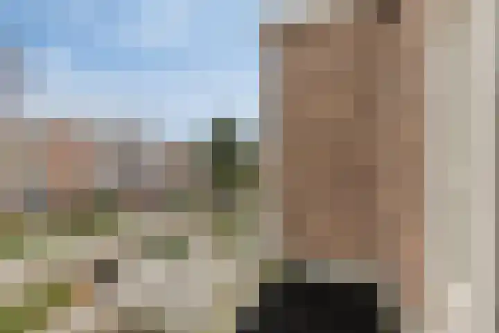 Laan van Eik en Duinen 211 Den Haag thumbnail 14