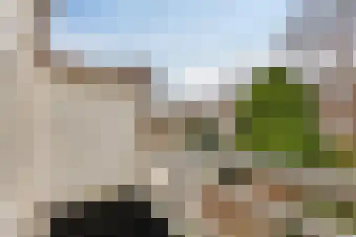 Laan van Eik en Duinen 211 Den Haag thumbnail 15