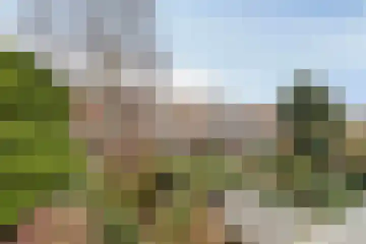 Laan van Eik en Duinen 211 Den Haag thumbnail 16