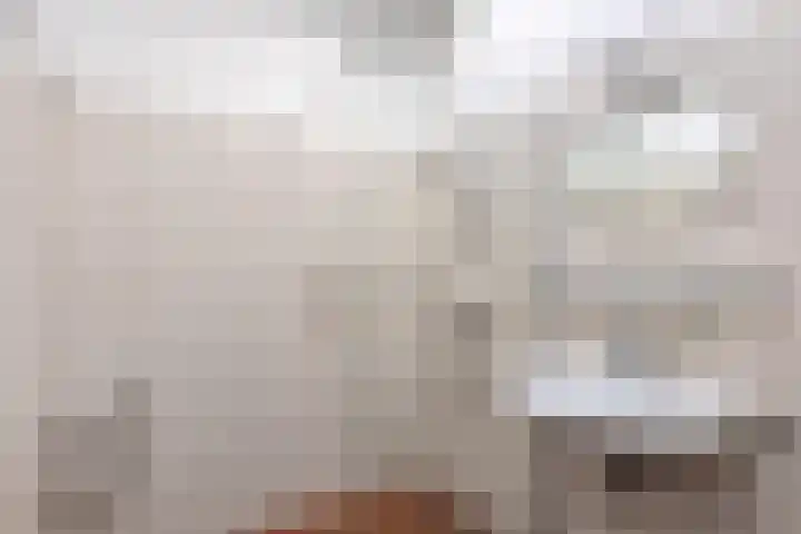 Laan van Eik en Duinen 211 Den Haag thumbnail 17