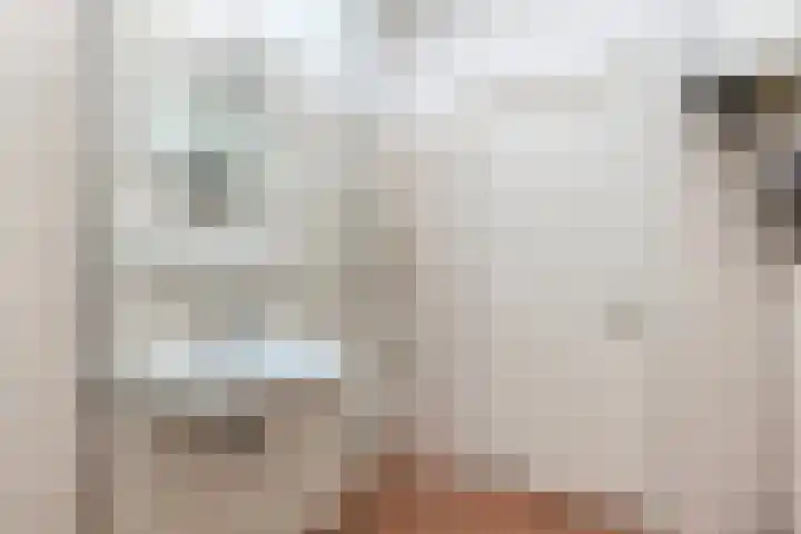 Laan van Eik en Duinen 211 Den Haag thumbnail 18