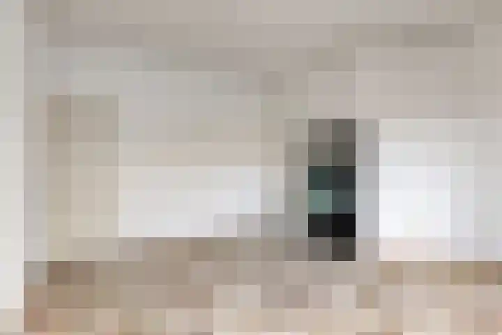 Laan van Eik en Duinen 211 Den Haag thumbnail 20