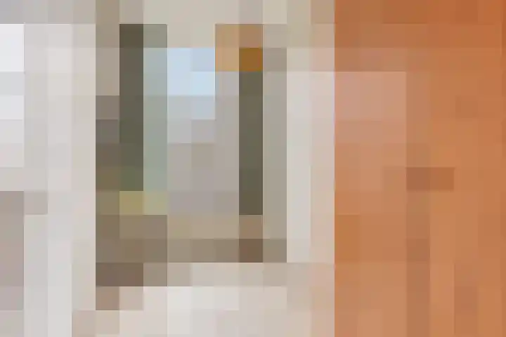 Laan van Eik en Duinen 211 Den Haag thumbnail 21
