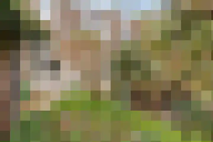 Laan van Eik en Duinen 211 Den Haag thumbnail 25