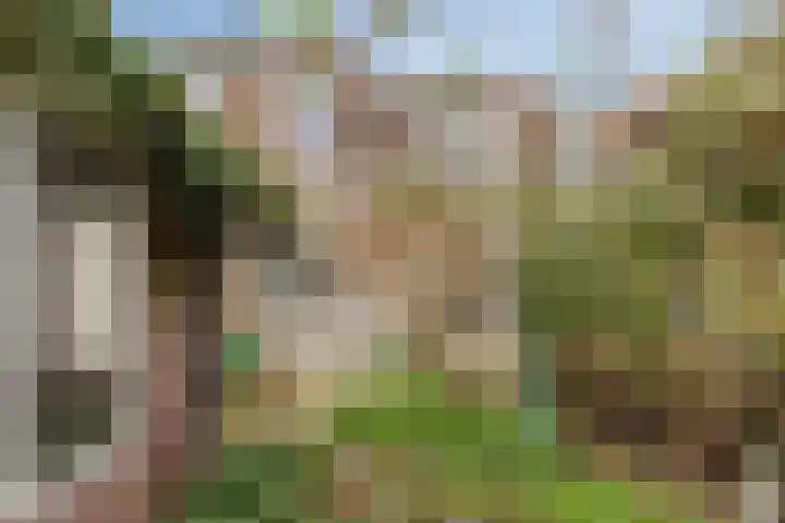 Laan van Eik en Duinen 211 Den Haag thumbnail 26