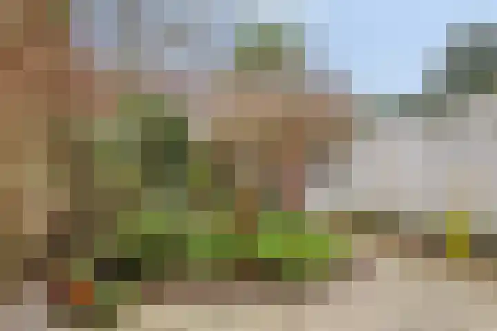 Laan van Eik en Duinen 211 Den Haag thumbnail 27