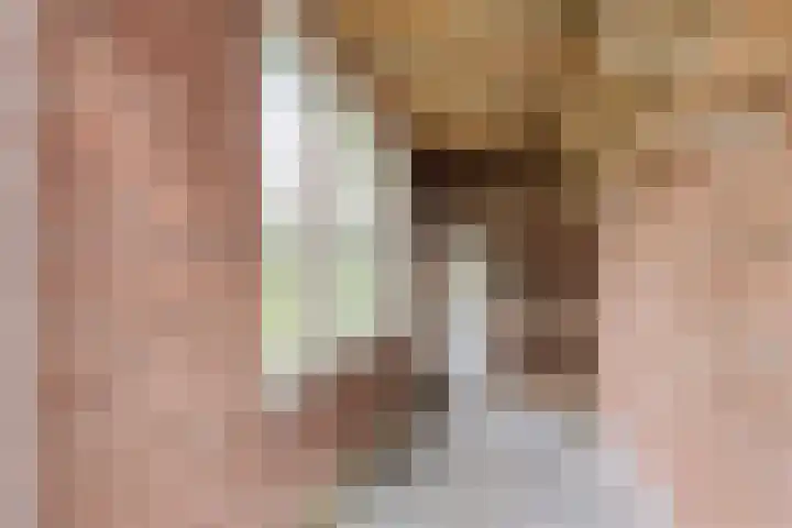 Laan van Eik en Duinen 211 Den Haag thumbnail 28