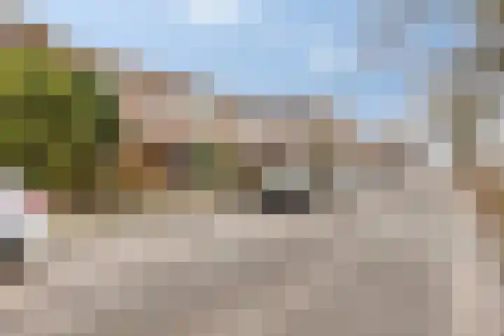 Laan van Eik en Duinen 211 Den Haag thumbnail 29