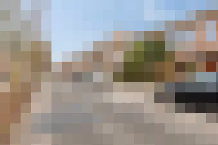 Laan van Eik en Duinen 211 Den Haag thumbnail 30