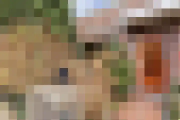 Laan van Eik en Duinen 211 Den Haag thumbnail 32