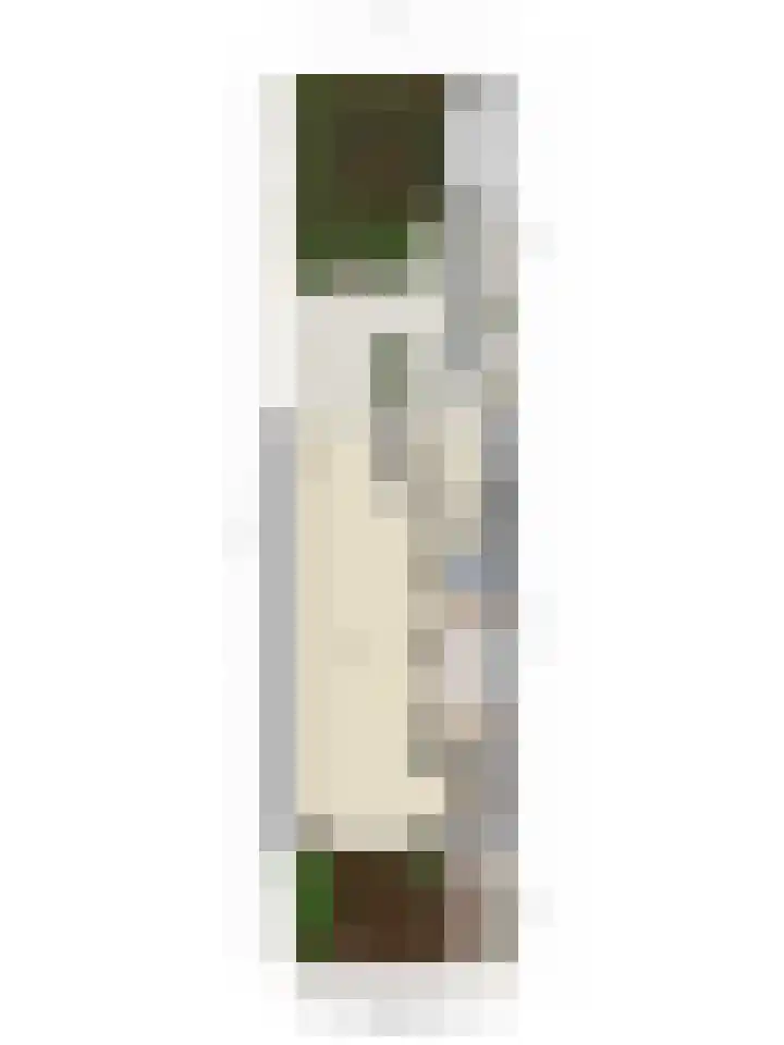 Laan van Eik en Duinen 211 Den Haag thumbnail 33