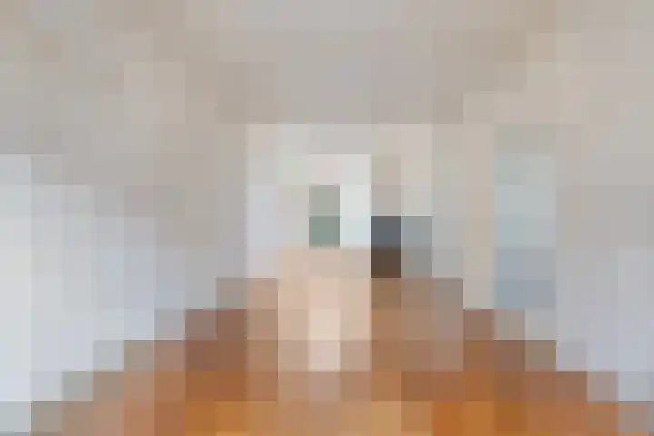 Laan van Eik en Duinen 211 Den Haag thumbnail 4