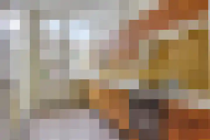 Laan van Eik en Duinen 211 Den Haag thumbnail 6
